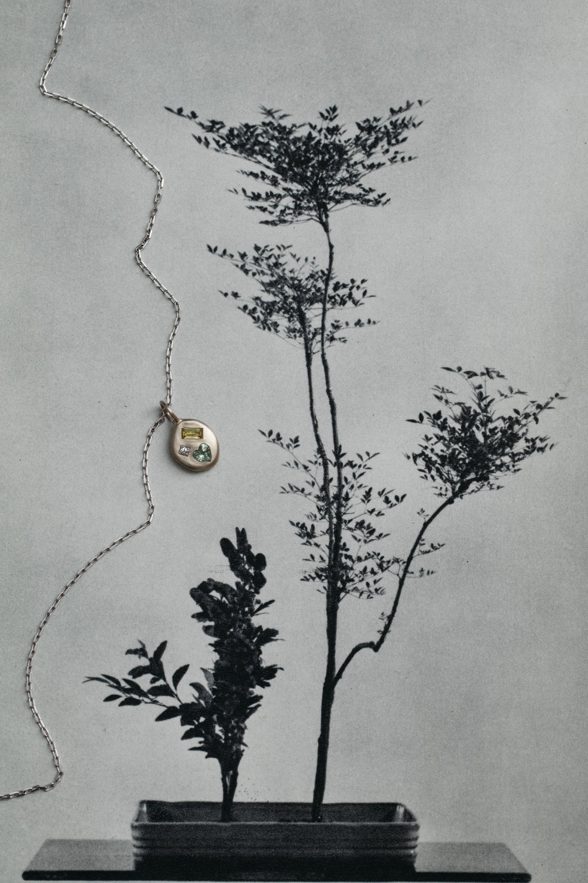 Cumulus XV Charm 13