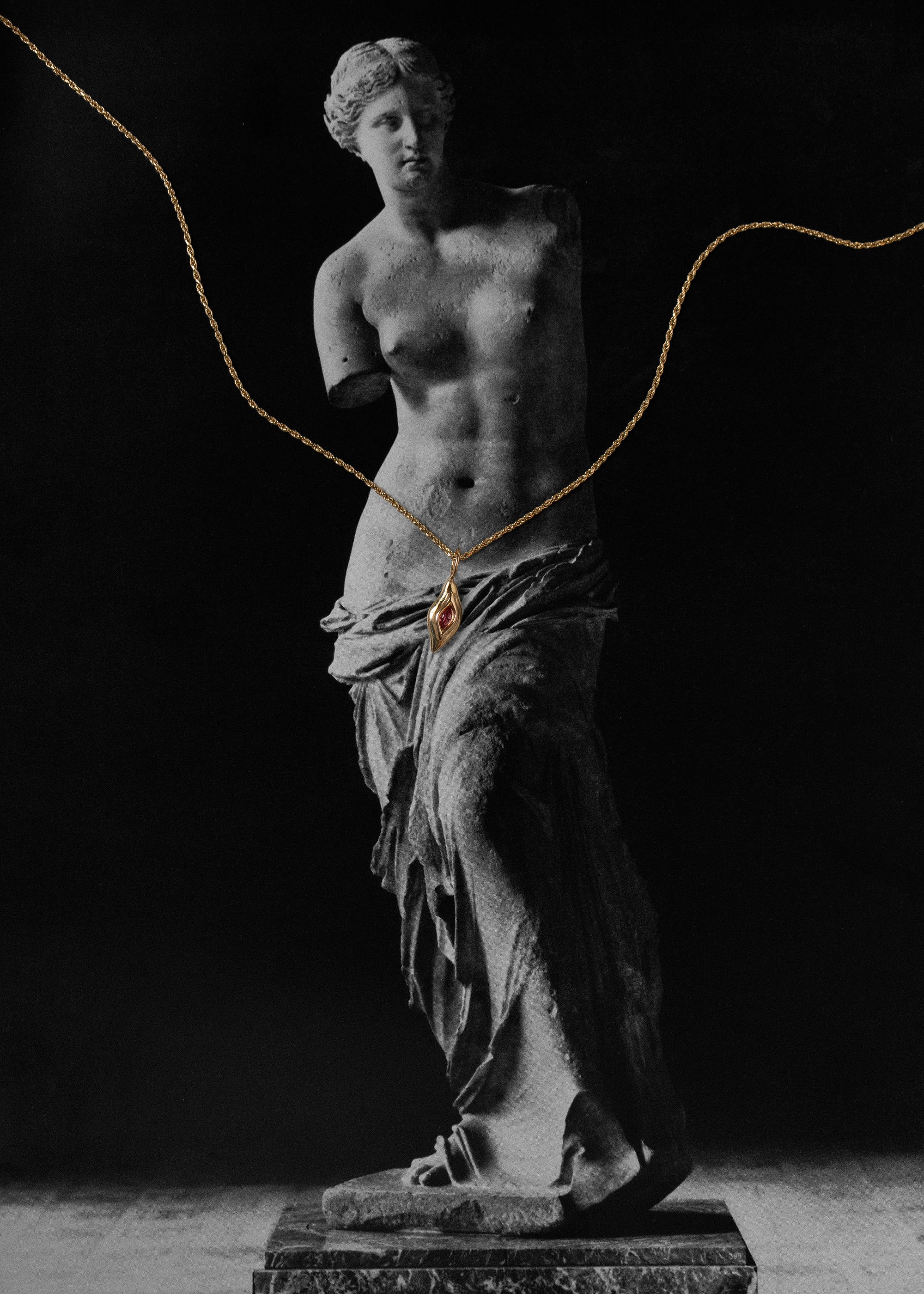Venus Charm 17
