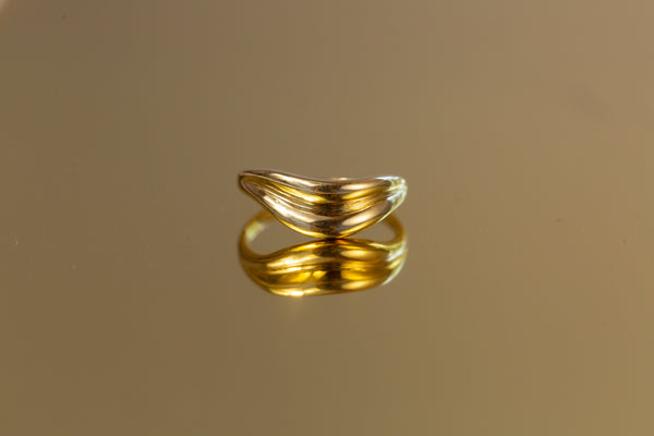 Double Curve Ring