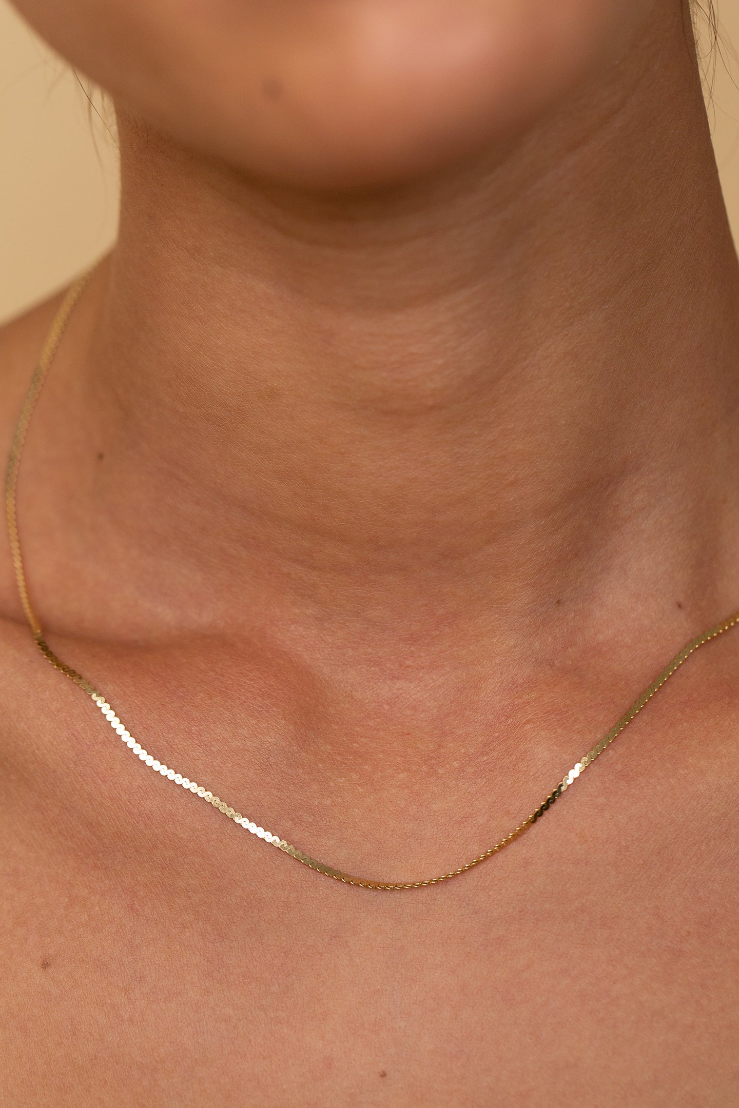 S Chain Collar